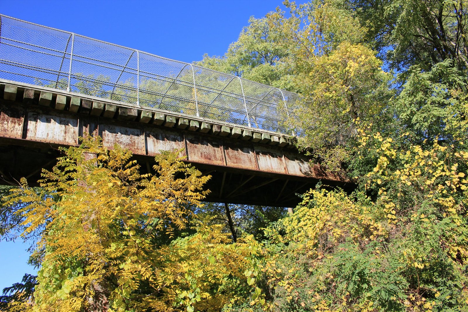 North span